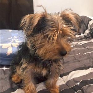 Meet your Posher, Emilia